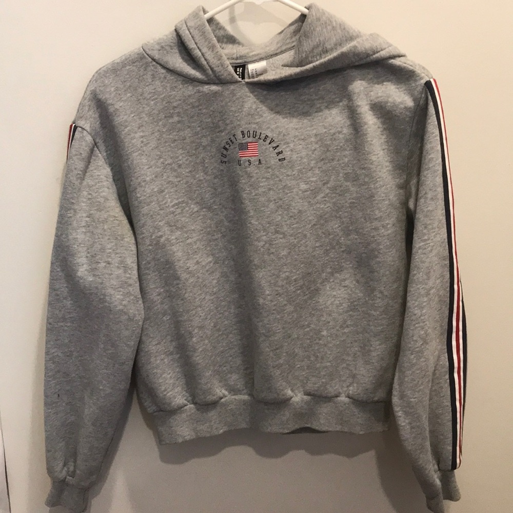 Grey USA cropped hoodie